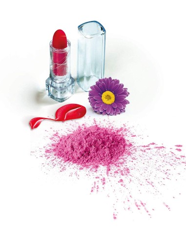 Smack Lab Realizza brillanti rossetti CLE19104 Clementoni | Futurartshop.com