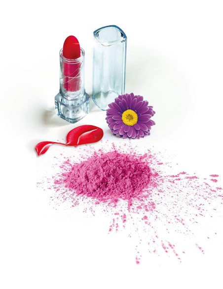 Smack Lab Realizza brillanti rossetti CLE19104 Clementoni | Futurartshop.com
