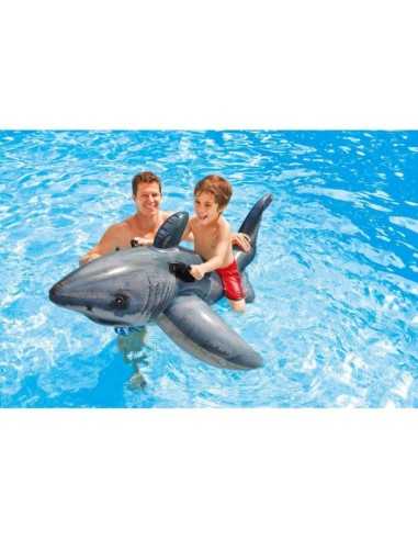 Shark ride-173 cm MAZ57525 Mazzeo | Futurartshop.com