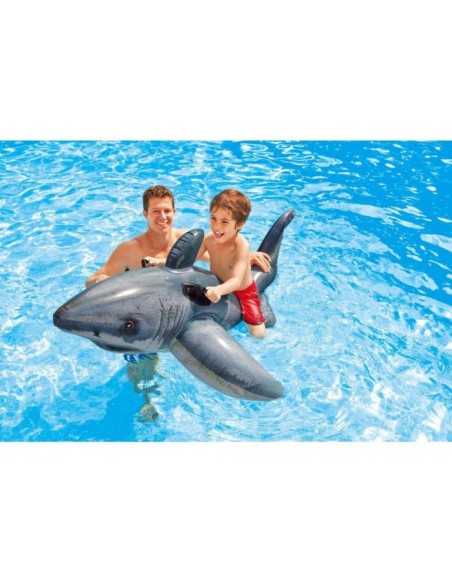 Squalo cavalcabile 173 cm MAZ57525 Mazzeo | Futurartshop.com
