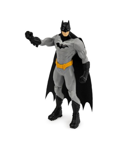 DC Character Batman WON6055412/1 Spin master | Futurartshop.com