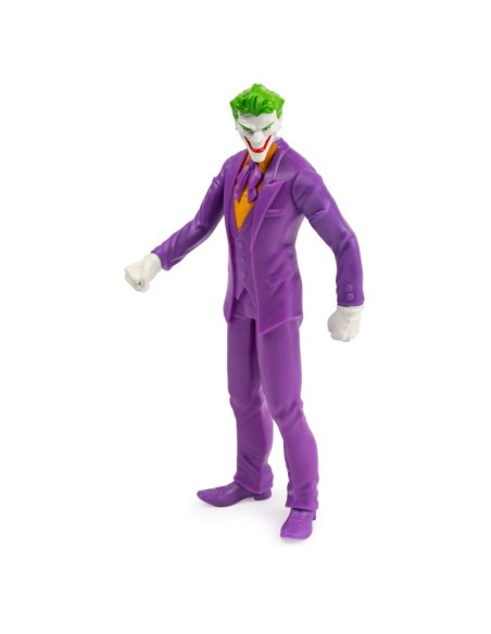 DC Character the Joker WON655412/3 Spin master | Futurartshop.com