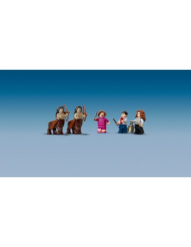 Lego 75967 - La Foresta Proibita l'incontro con la Umbridge LEG75967 Lego | Futurartshop.com