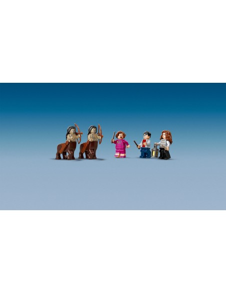 Lego 75967 - La Foresta Proibita l'incontro con la Umbridge LEG75967 Lego | Futurartshop.com