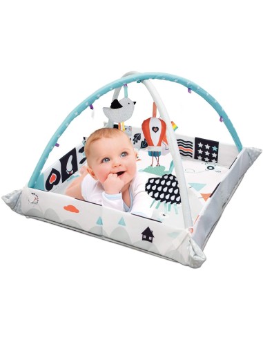 Palestra Primi Mesi Baby Gym 3 in 1 CLE17319 Clementoni | Futurartshop.com