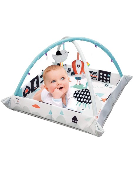 Gym the First few Months Baby Gym 3 in 1 CLE17319 Clementoni | Futurartshop.com