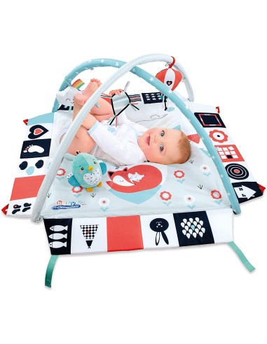 Palestra Primi Mesi Baby Gym 3 in 1 CLE17319 Clementoni | Futurartshop.com
