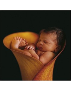 anne geddes puzzle girl in the shell 79898 Startrade | Futurartshop.com