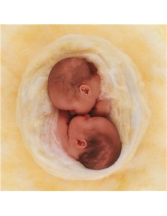 anne geddes puzzle girl in the shell 79898 Startrade | Futurartshop.com 2