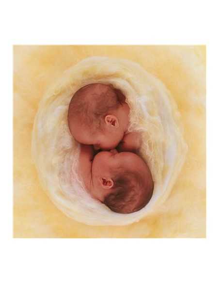 anne geddes puzzle girl in the shell 79898 Startrade | Futurartshop.com