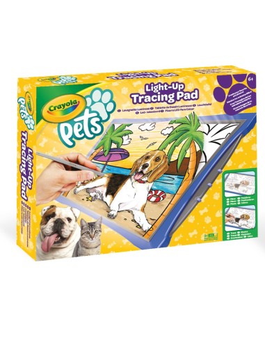 Slate bright Crayola Pets CRA04-1034 Crayola | Futurartshop.com