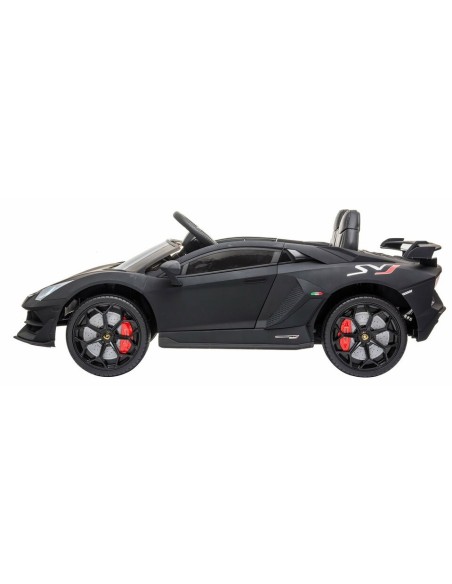 Lamborghini Aventador SVJ 12 V nero matto LAMHL328 Linea Paggio | Futurartshop.com