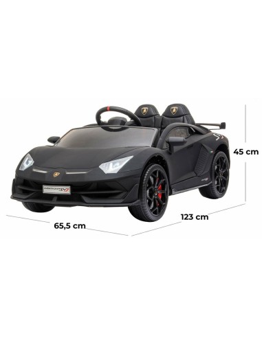 Lamborghini Aventador SVJ 12 V black crazy LAMHL328 Linea Paggio | Futurartshop.com