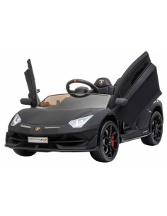 Lamborghini Aventador SVJ 12 V black crazy LAMHL328 Linea Paggio | Futurartshop.com
