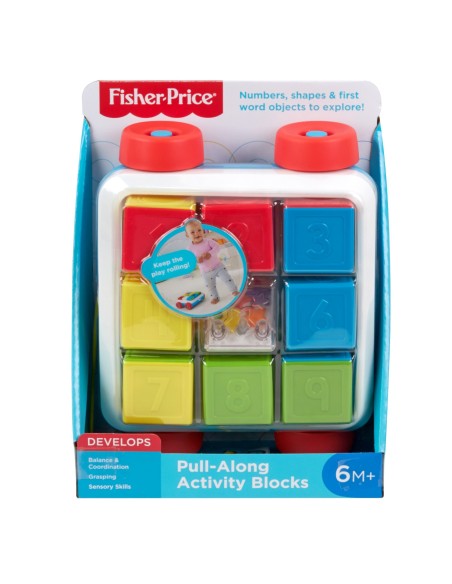 Fisher-Price - Blocchi Sempre con Te TOYGJW10 Mattel | Futurartshop.com