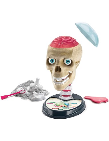 Crazy Anatomy CLE19212 Clementoni | Futurartshop.com