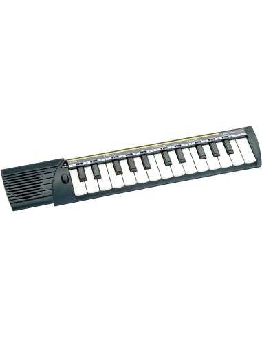Bontempi Concertino 25 Tasti Passo Medio 17896 Bontempi | Futurartshop.com