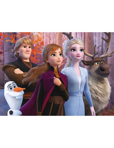 Frozen II Puzzle 2 in 1 24 maxi pieces LIS86658 Lisciani | Futurartshop.com