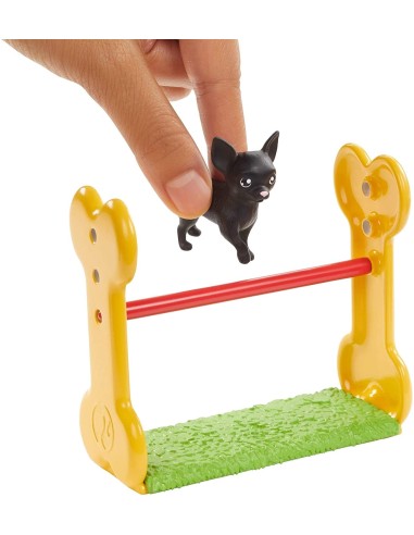 Barbie-Ken dog trainer TOYGJM32/GJM34 Mattel | Futurartshop.com