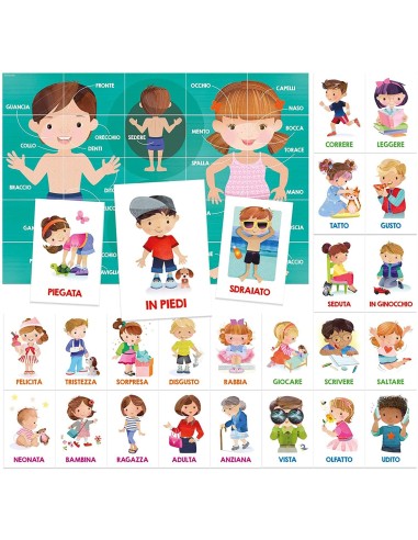 Flashcards - conoscere il corpo umano HEAIT24551 Headu | Futurartshop.com