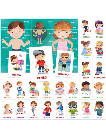 Flashcards-know the human body HEAIT24551 Headu | Futurartshop.com