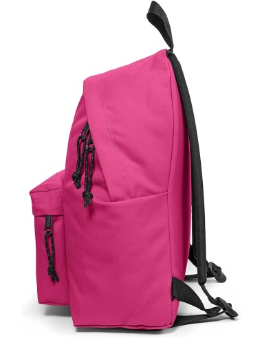 Padded backpack Pak'r escape color pink EASEK000620K25 Eastpak | Futurartshop.com