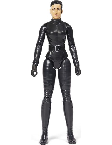 DC character Cat Cat MAG61624 Spin master | Futurartshop.com