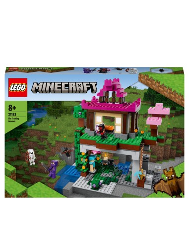 Lego Minecraft 21183-the training grounds LEG6379569 Lego | Futurartshop.com