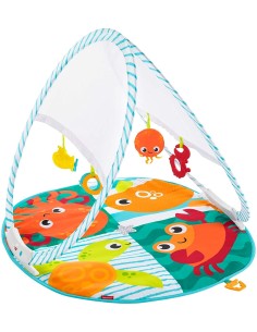 Fisher-Price Palestrina attività portatile FICFXC15 Mattel | Futurartshop.com