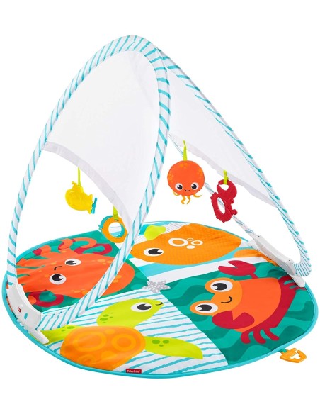 Fisher-Price portable Activity Gym FICFXC15 Mattel | Futurartshop.com