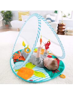 Fisher-Price portable Activity Gym FICFXC15 Mattel | Futurartshop.com 2