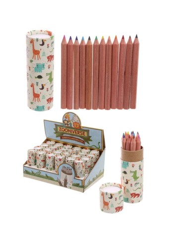 Tube with colored pencils and pictures of zoo animals PUCPCASE01 Futurart | Futurartshop.com