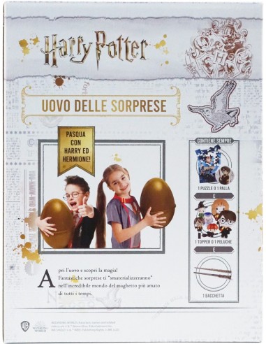 Easter Egg Harr pot Potter-Hermione character 2022 CIA26720 Futurart | Futurartshop.com