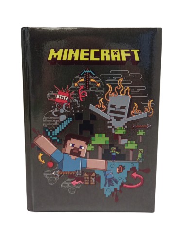 Minecraft standard Diary 12 months gray color 22-23 PAN68315-2 Panini | Futurartshop.com