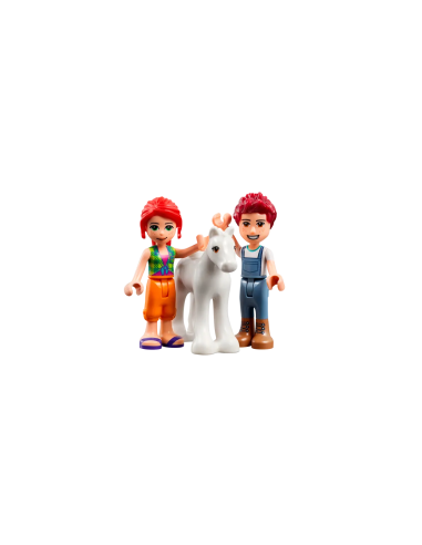 Lego Friends-Pon grooming Barn 4 LEG6379034 Lego | Futurartshop.com