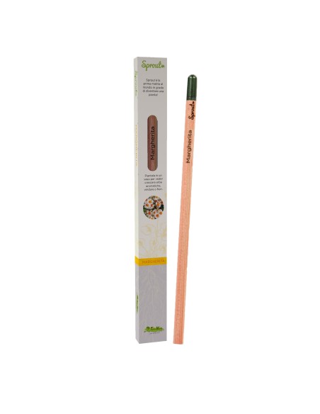 Plantable pencil daisy seeds LAGSPR-05 Futurart | Futurartshop.com