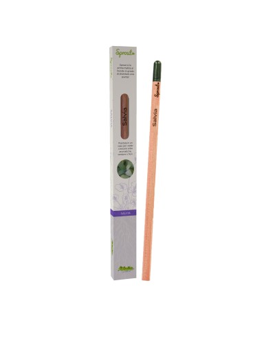 Matita piantabile con semi di Salvia LAGSPR-08 Futurart | Futurartshop.com