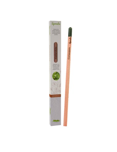Matita piantabile con semi di Coriandolo LAGSPR-02 Futurart | Futurartshop.com