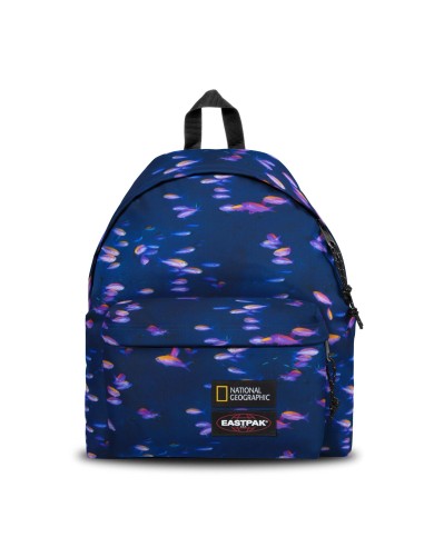 Zaino Padded Pak'r National Geographic Fish EASEK000620W05 Eastpak | Futurartshop.com