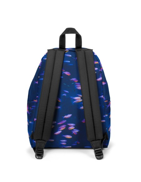 Zaino Padded Pak'r National Geographic Fish EASEK000620W05 Eastpak | Futurartshop.com