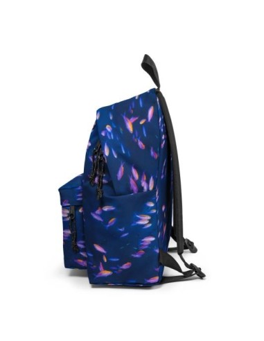 Padded Pak'r National Geographic fish backpack EASEK000620W05 Eastpak | Futurartshop.com