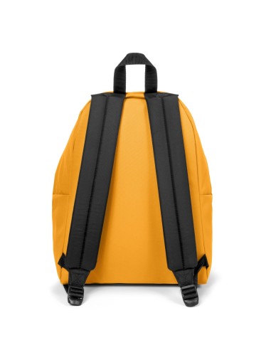 Padded backpack Pak'ro EASEK000620N75 Eastpak | Futurartshop.com