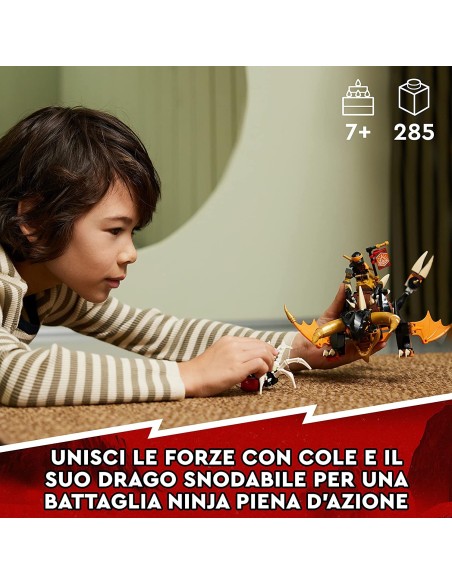Lego ninjago 71782 drago di terra di cole LEG6420693 Lego | Futurartshop.com