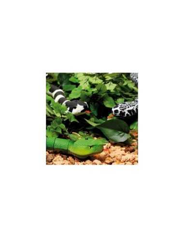 Snake infrared remote controlled GIOHDG30123 Giochi Preziosi | Futurartshop.com