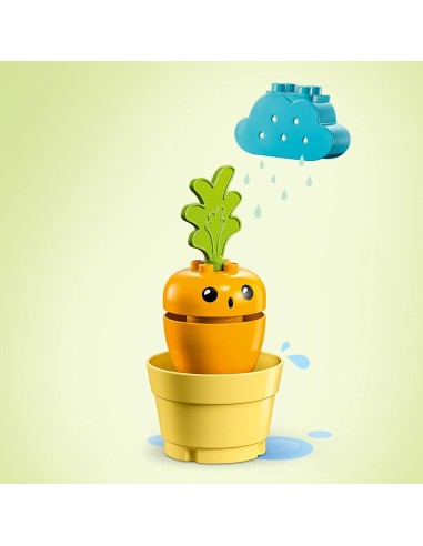 Lego duplo 10981 a carrot that grows LEG6426523 Lego | Futurartshop.com