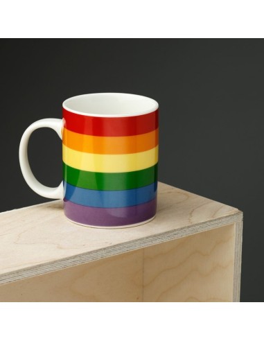 Porcelain Rainbow Flag Mug PUCMUG393 Futurart | Futurartshop.com