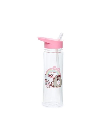Borraccia Hello Kitty e Pusheen infrangibile PUCBOT181 Futurart | Futurartshop.com