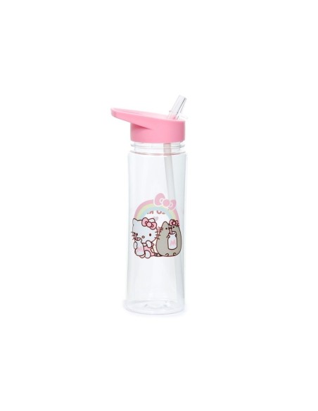 Borraccia Hello Kitty e Pusheen infrangibile PUCBOT181 Futurart | Futurartshop.com