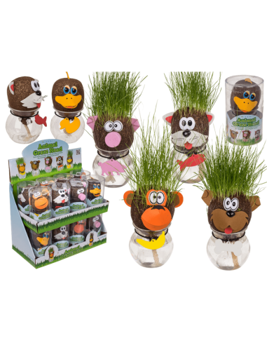 Testa d'erba animale in barattolo 5 assortimenti OTB37/0010 Out of The Blue | Futurartshop.com