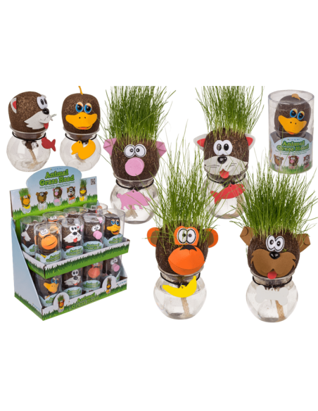 Testa d'erba animale in barattolo 5 assortimenti OTB37/0010 Out of The Blue | Futurartshop.com